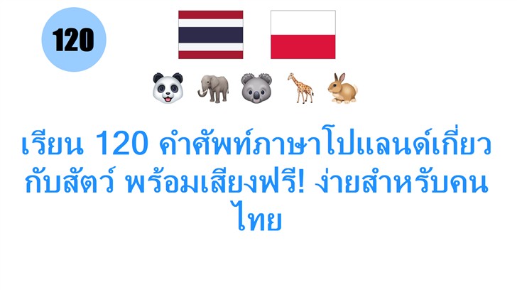 เรียน 120 คำศัพท์ภาษาโปแลนด์เกี่ยวกับสัตว์ พร้อมเสียงฟรี! ง่ายสำหรับคนไทย